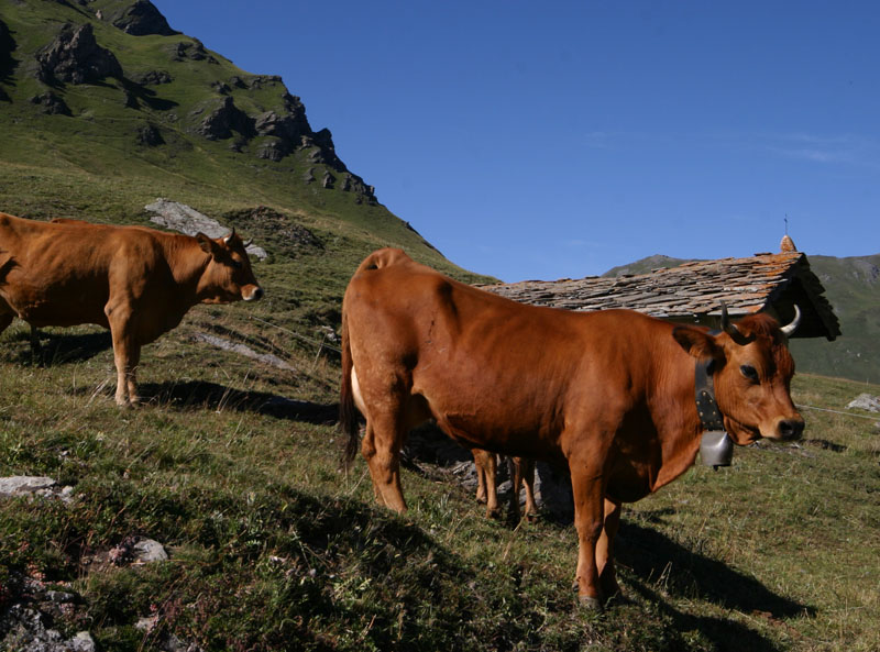 lago del moncenisio